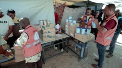 UAE sends more essential supplies to displaced Gaza families