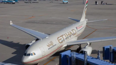UAE to India travel Etihad increases flights to Jaipur from December