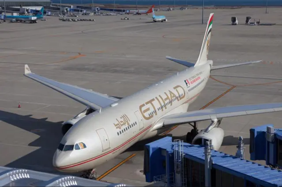 UAE to India travel Etihad increases flights to Jaipur from December