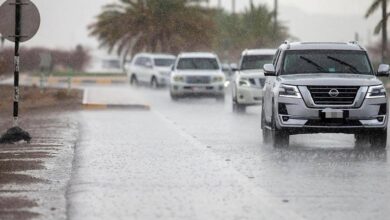 UAE Forecast: Weather Updates for November 16–20, 2024