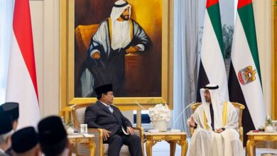 UAE, Indonesia Presidents Witness Key Agreements