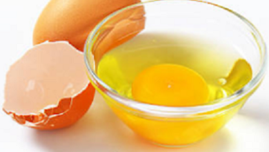 UAE Liquid Eggs Market to Grow, Expected to Hit $4.5 Million by 2031