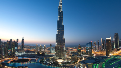 UAE Businesses to Get Relief from Insurance Premium Hikes