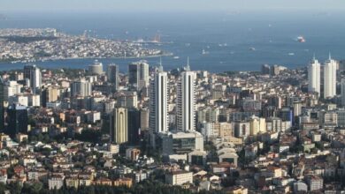 UAE President, Turkish FM discuss relations, regional stability