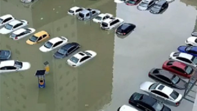 UAE Sees Surge in Car Insurance Premiums Here's the Reason