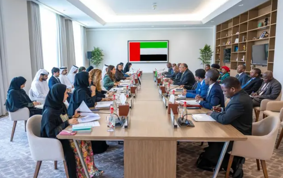 UAE and Tanzania strengthen bilateral ties