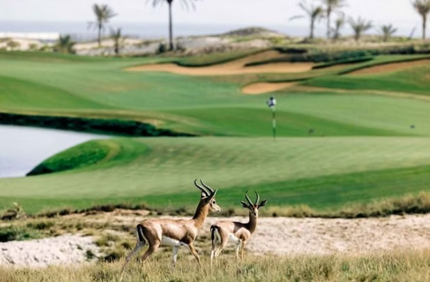 UAE green tourism embraces nature with sustainability