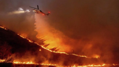 UAE Offers Condolences to US, Stands in Solidarity After Wildfires