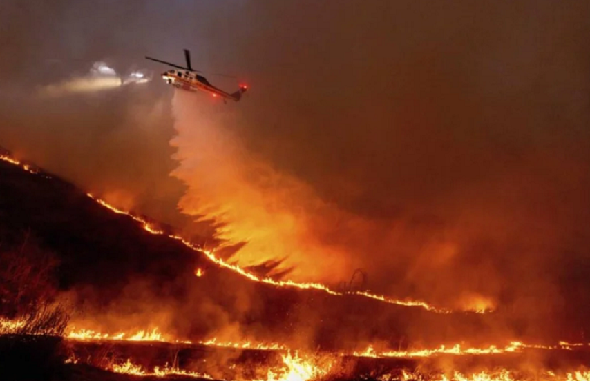 UAE Offers Condolences to US, Stands in Solidarity After Wildfires