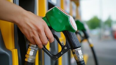 UAE Petrol Prices Announces for January 2025
