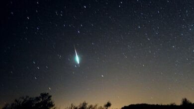 UAE Welcomes 2025 with- Stunning Meteor Shower and Planet Parade