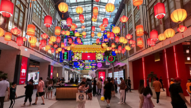 UAE celebrates Chinese New Year festivities