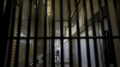 Over 10K Indians Jailed Abroad, Half in Saudi & UAE