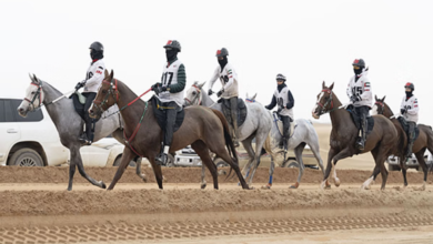 UAE President’s Endurance Cup starts tomorrow at Al Wathba.
