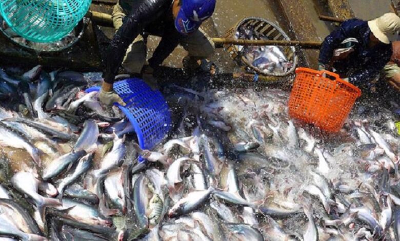 UAE to Invest ₹4,000 Cr in Uttar Pradesh's Fisheries Sector Expansion