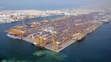 UAE's foreign trade reached a record high of $817 billion in 2024
