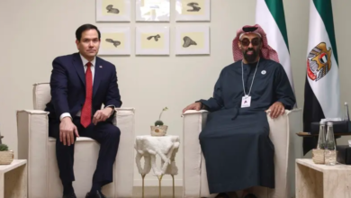 UAE official Seeks US Approval to Acquire More Nvidia AI Chips