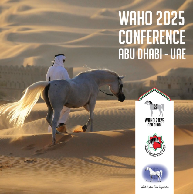 Abu Dhabi to host World Arabian Horse Organization General Assembly meeting on Sunday