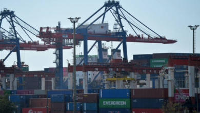 Pakistani Envoy UAE-Pakistan Trade Surpassed $10.9 Billion in FY24