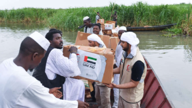UAE Sends $3.5 Billion in Aid to Sudan Over Past Decade