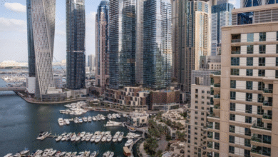 Dubai apartment prices near highest levels in over a decade