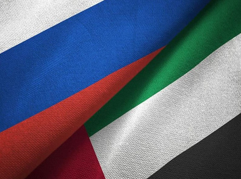 Russia calls for Stronger BRICS-UAE Parliamentary Cooperation