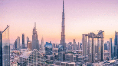 UAE launches Dubai 'Influencer Academy' amid concerns over human rights 'whitewashing'