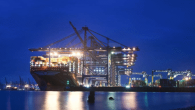 UAE welcomes ceasefire deal to safeguard Red Sea trade