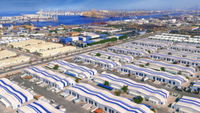 UAE’s Jafza reports 40% surge in trade with India, says DP World