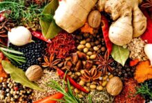 south indian masala