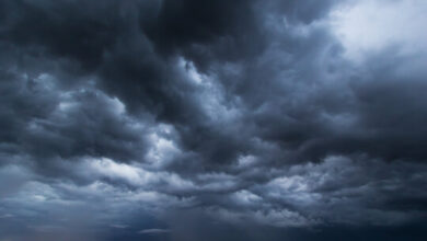 Get ready, UAE! Foggy mornings are on the horizon, and humidity is set to rise.